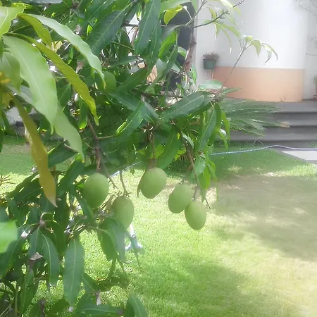 Tatil Evi Charming House With Sea View In *