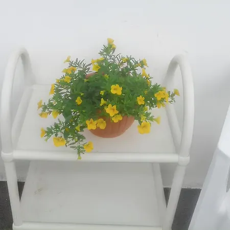 Charming House With Sea View In *