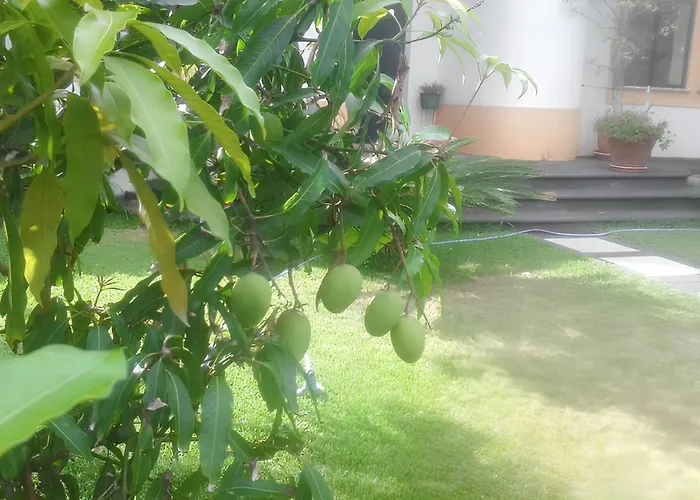 Holiday home Seaside Haven: 3-bedroom House With Garden In *