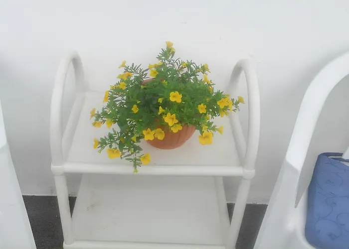 Seaside Haven: 3-bedroom House With Garden In *